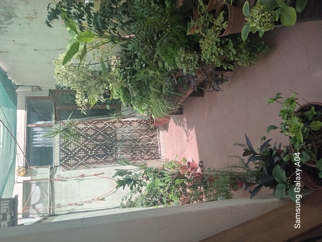 Casas en venta en bahia blanca