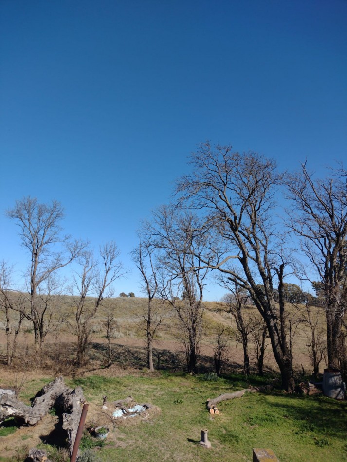 Campo en venta en Medanos , cerca de Bahia Blanca , partido de villarino