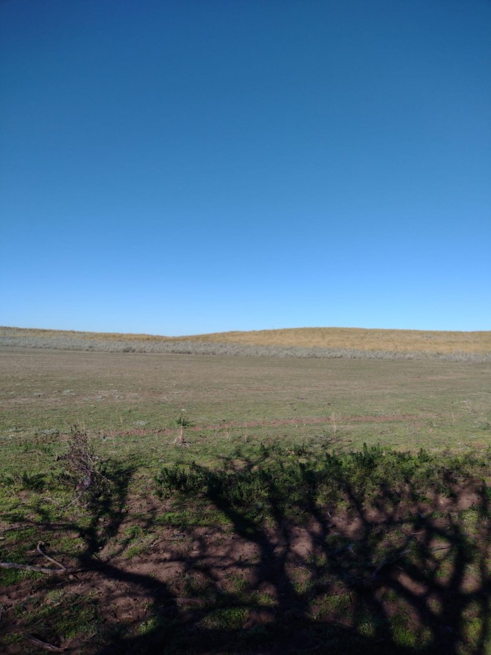 Campo en venta en Medanos , cerca de Bahia Blanca , partido de villarino