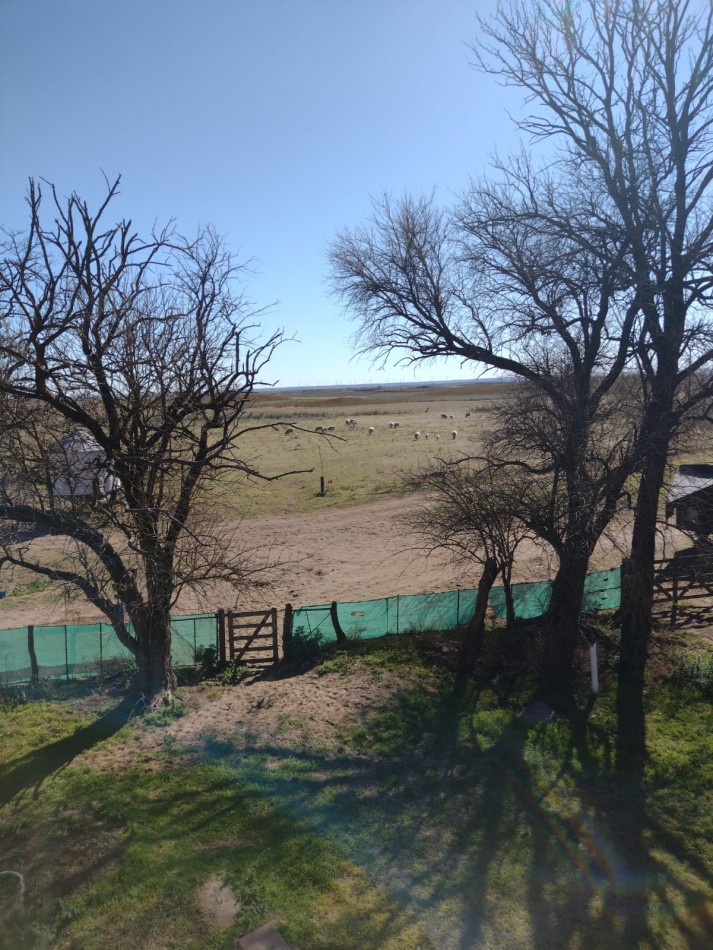 Campo en venta en Medanos , cerca de Bahia Blanca , partido de villarino