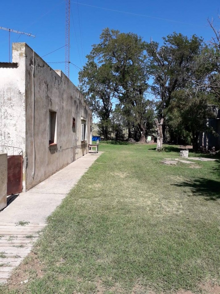 Campo en venta en Medanos , cerca de Bahia Blanca , partido de villarino