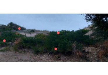 Terreno en venta en sauce grande